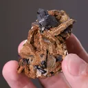Cassiterite and Fluorite on Zinnwaldite - image 2