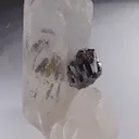 Cassiterite and Quartz - image 2