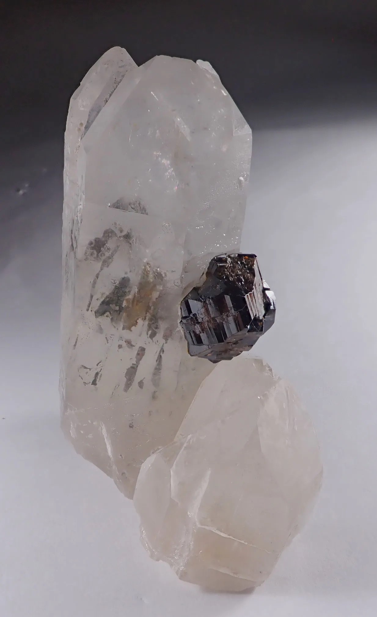 Cassiterite and Quartz - image 2