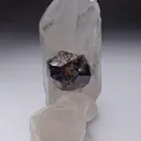 Cassiterite and Quartz - image 1