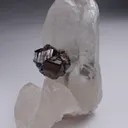 Cassiterite and Quartz - image 4