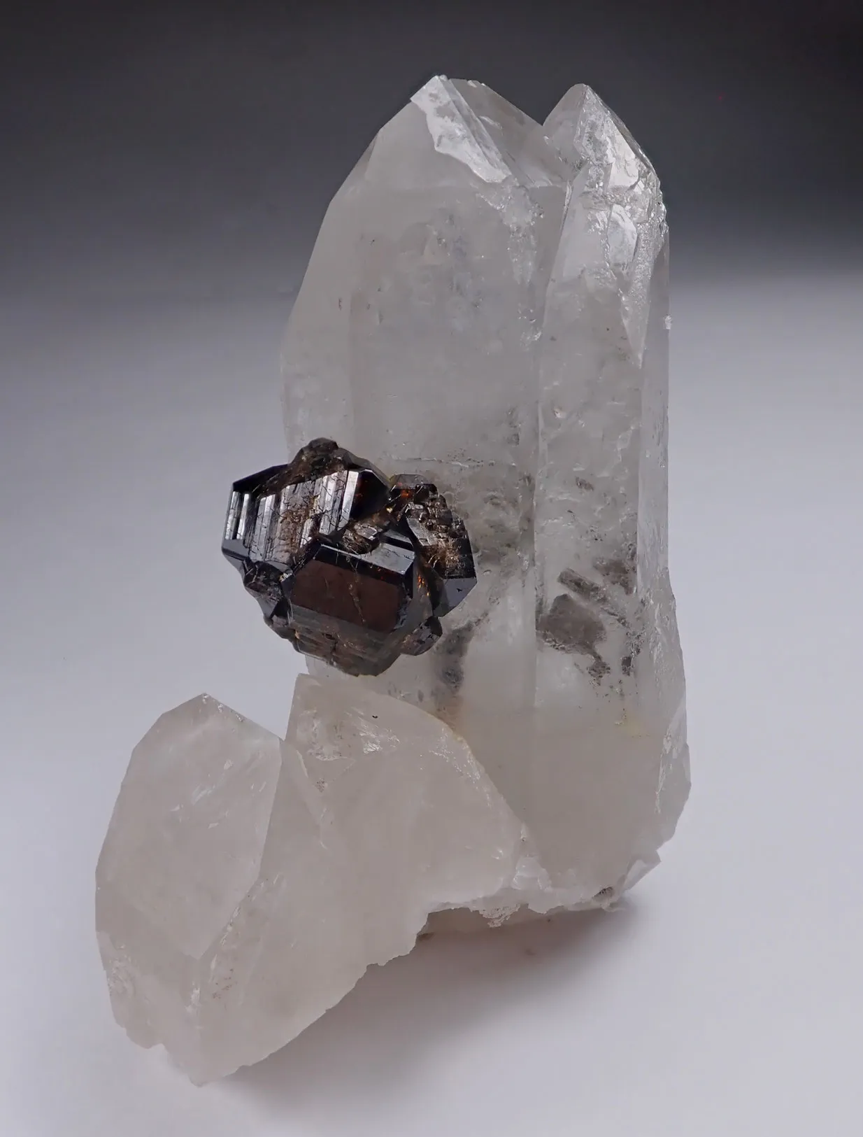 Cassiterite and Quartz - image 4