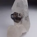 Cassiterite and Quartz - image 3