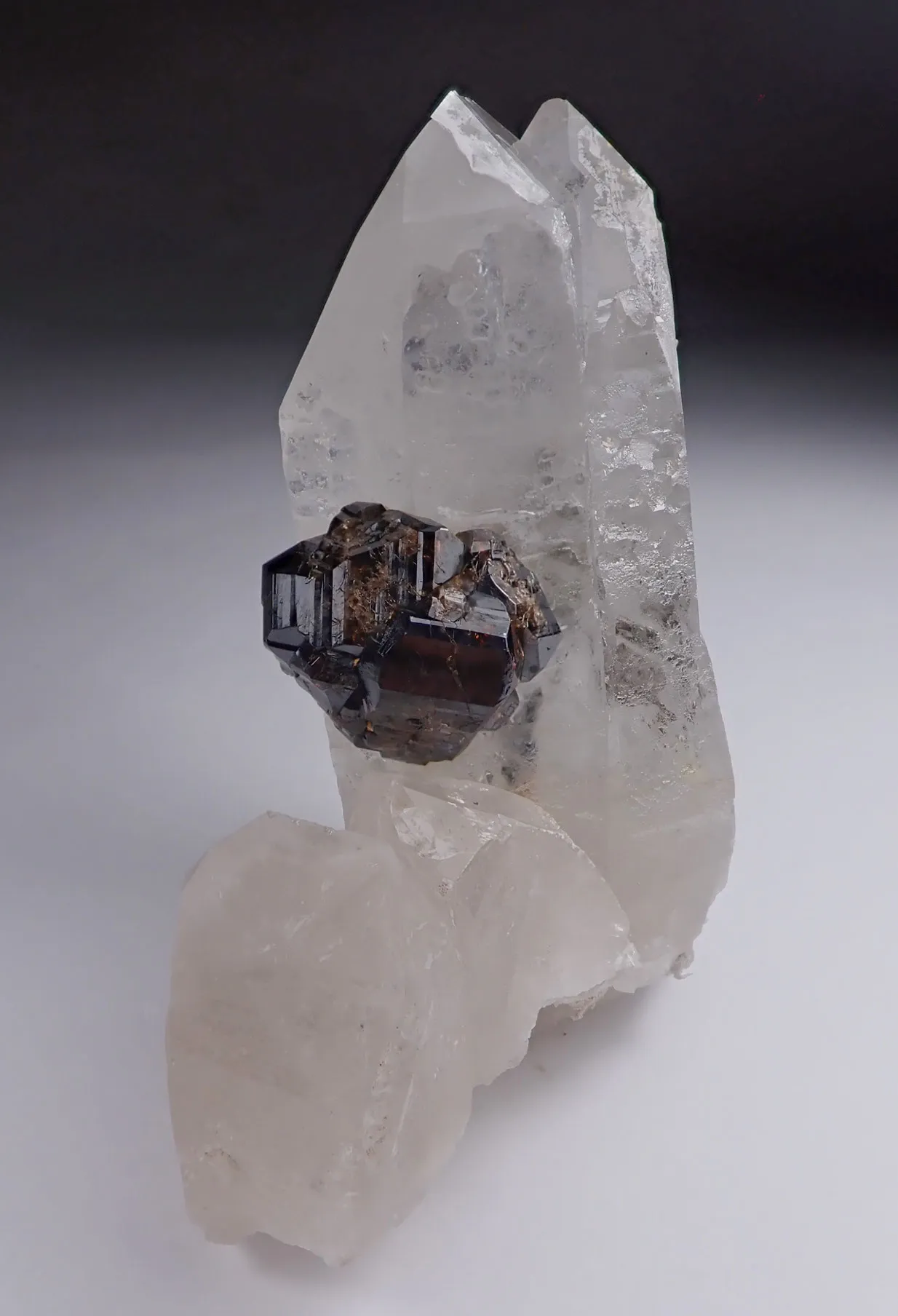 Cassiterite and Quartz - image 3