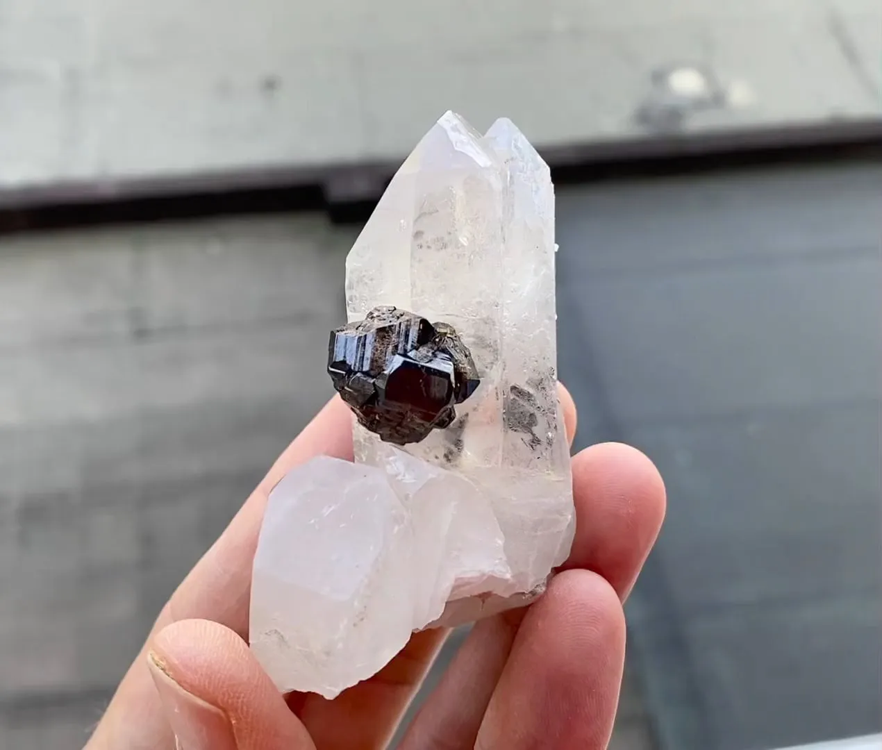 Cassiterite and Quartz - image 5