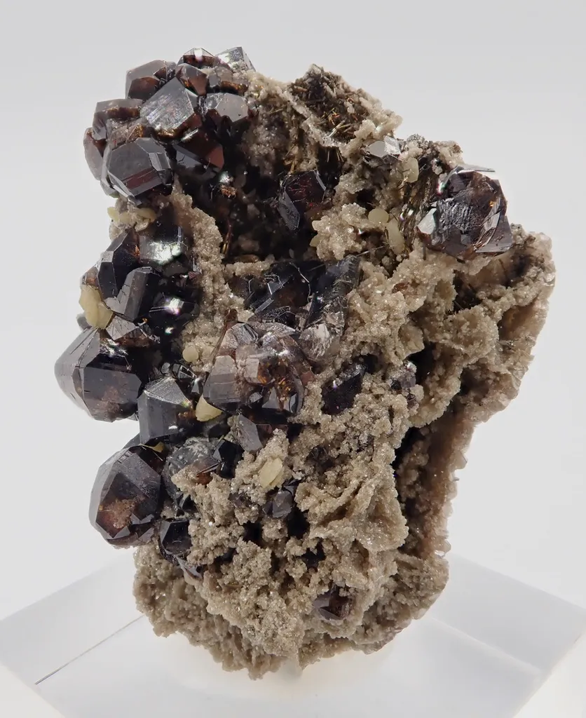 Cassiterite, Arsenopyrite and Schorl image