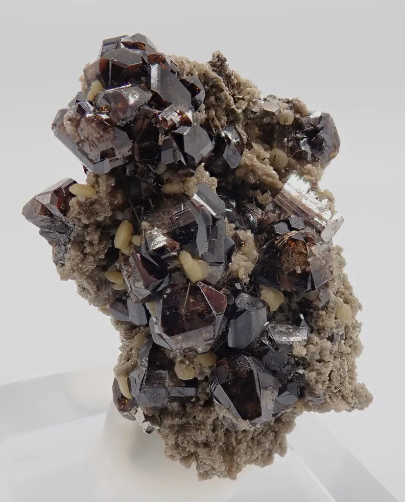 Cassiterite, Arsenopyrite and Schorl - image 3