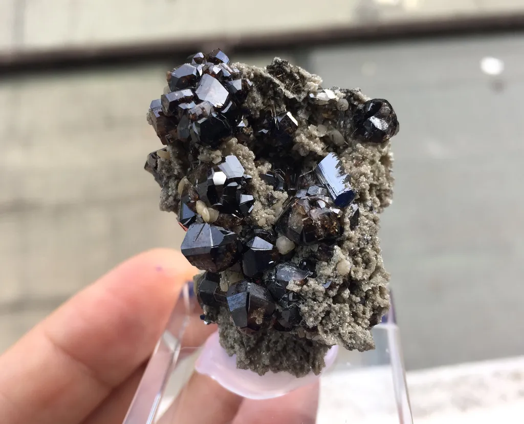 Cassiterite, Arsenopyrite and Schorl - image 5