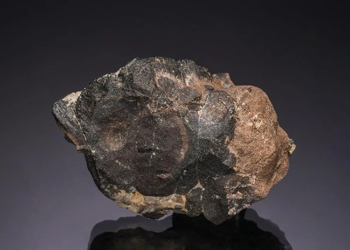 Cassiterite Bejewans Tin Stream Works - image 1