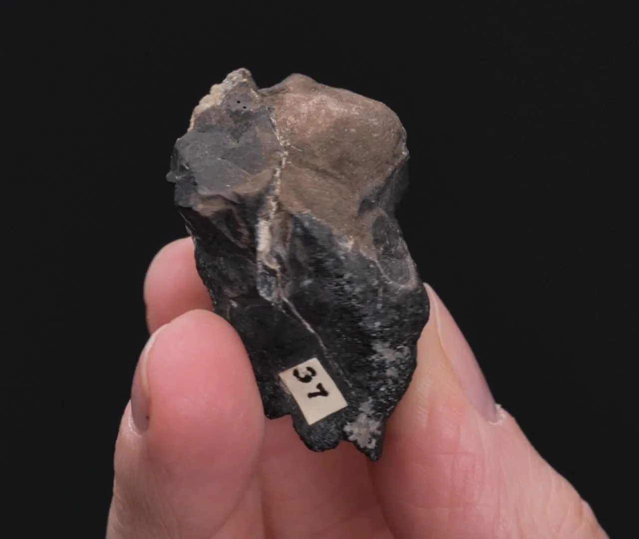 Cassiterite Bejewans Tin Stream Works - image 2