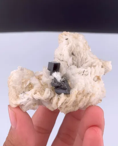 specimen video