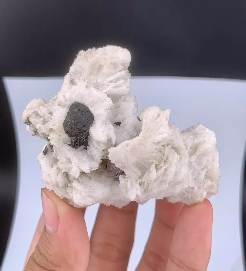 Cassiterite from Pakistan - image 9