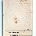 Cassiterite (Iridescent) - image 2