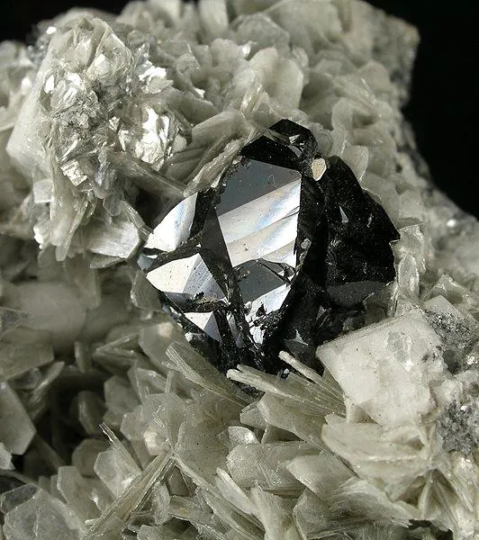 Cassiterite, Muscovite, Albite - image 2