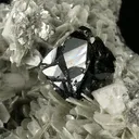 Cassiterite, Muscovite, Albite - image 2