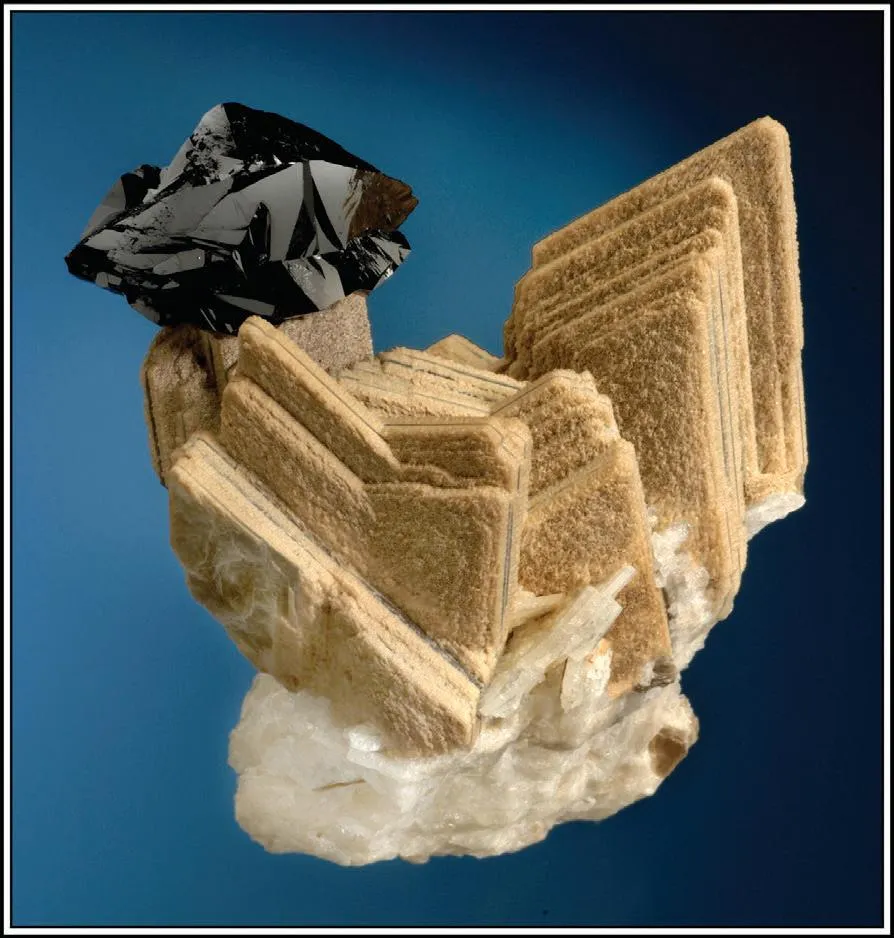 Cassiterite, Muscovite image