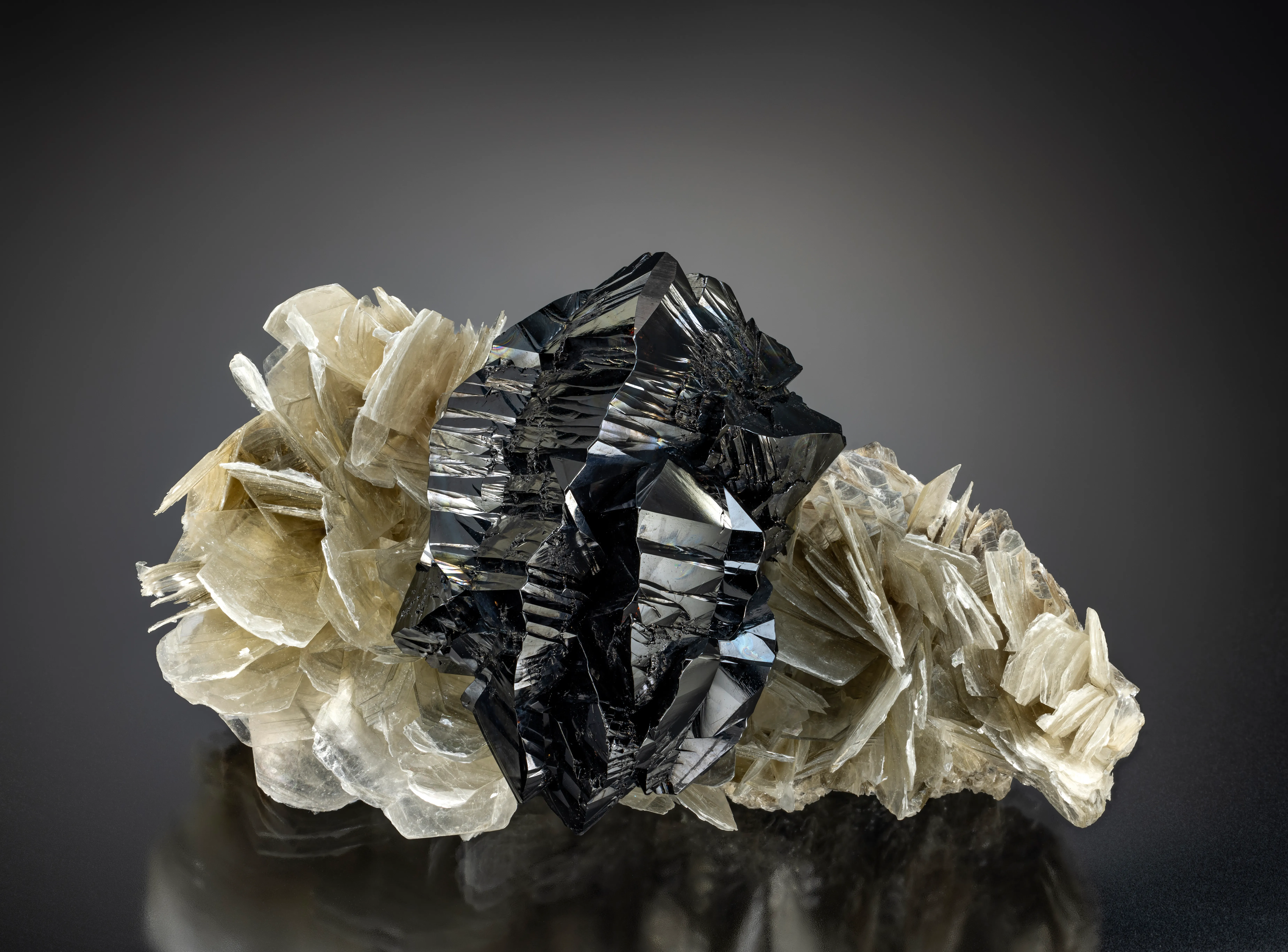 Cassiterite on Muscovite - image 1