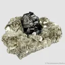Cassiterite on Muscovite - image 2