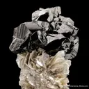 Cassiterite on Muscovite - image 6