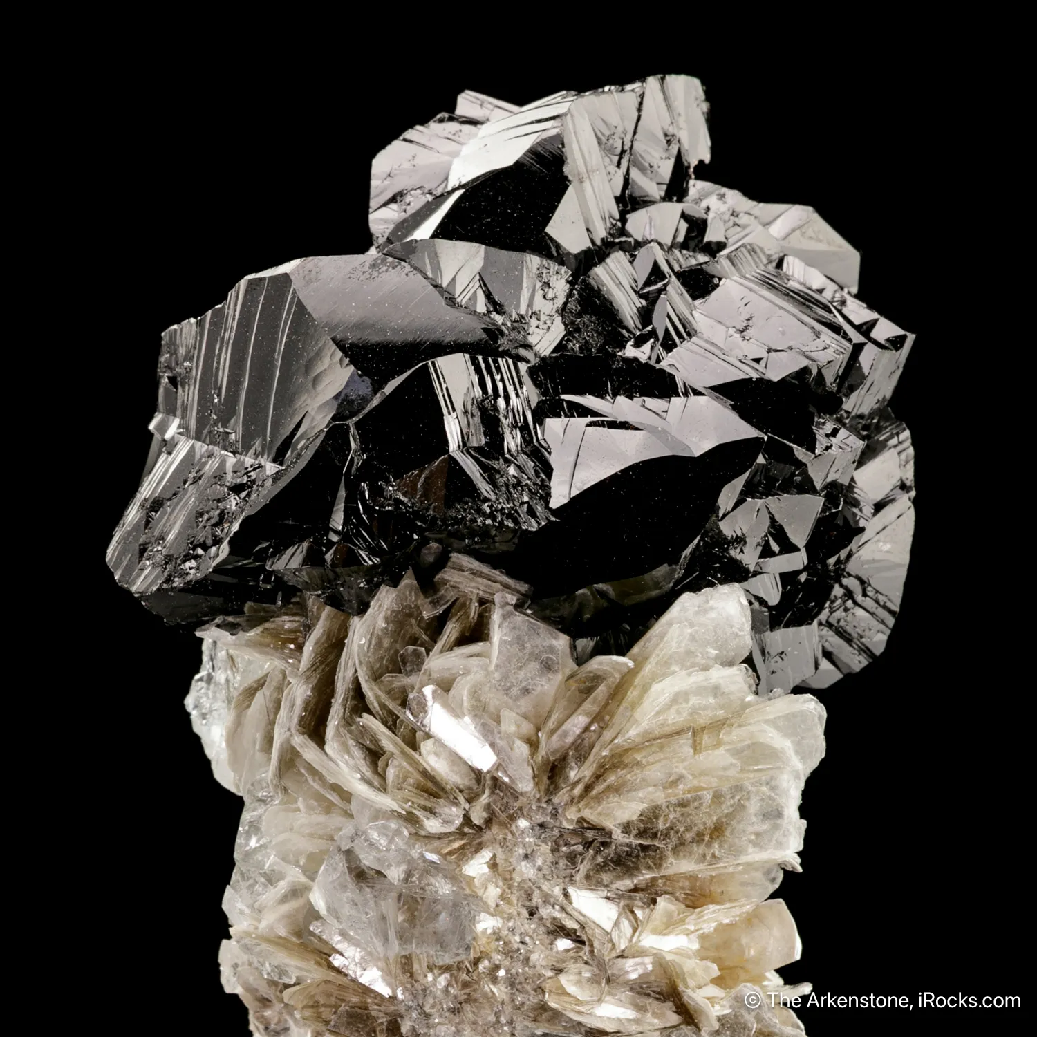 Cassiterite on Muscovite - image 6