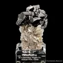 Cassiterite on Muscovite - image 3