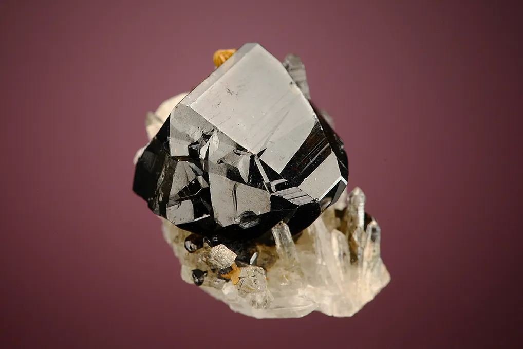 Cassiterite on Quartz - image 3