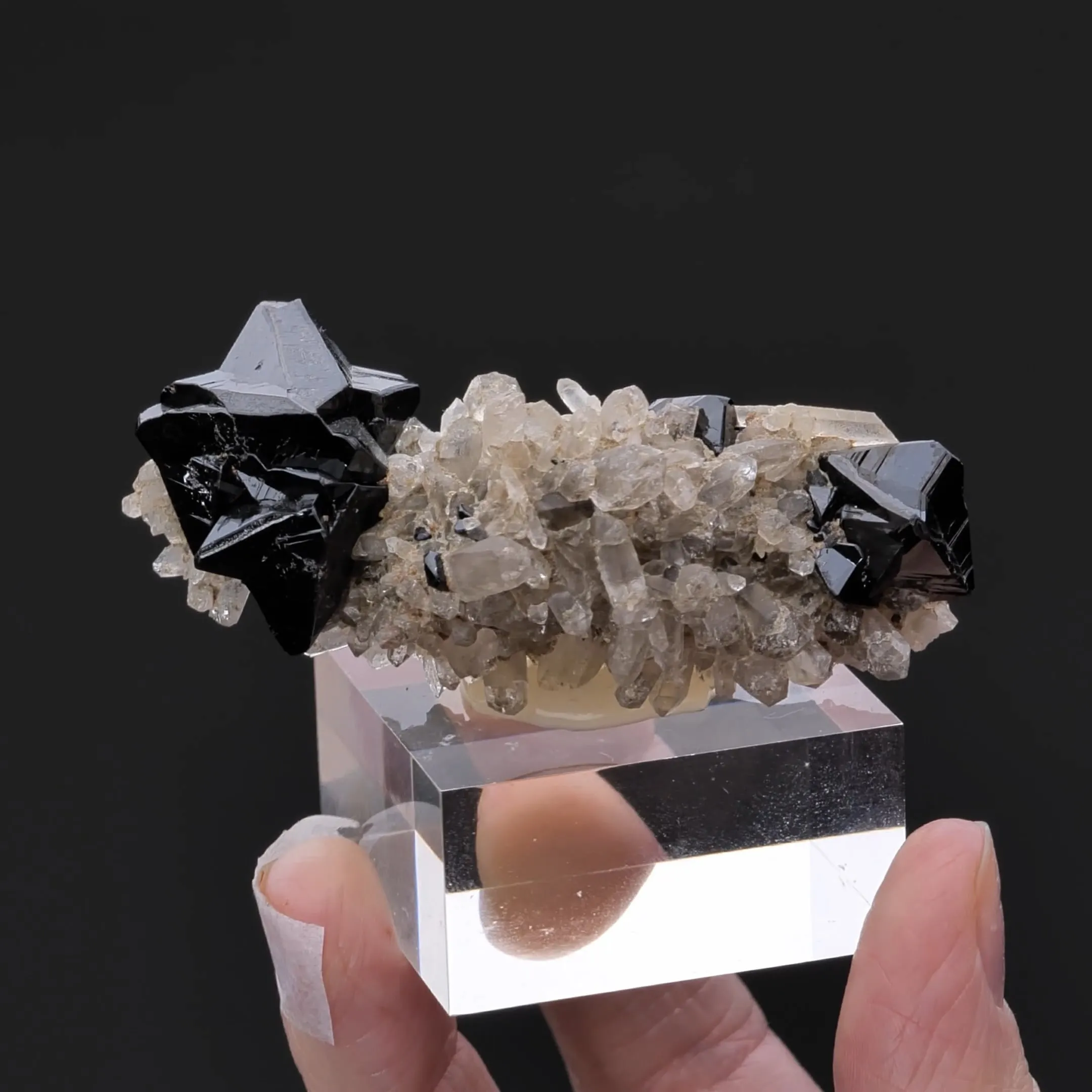 Cassiterite on Quartz - image 2