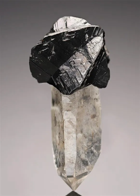 Cassiterite on Quartz - image 1