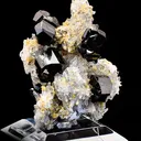 Cassiterite on Quartz - image 3