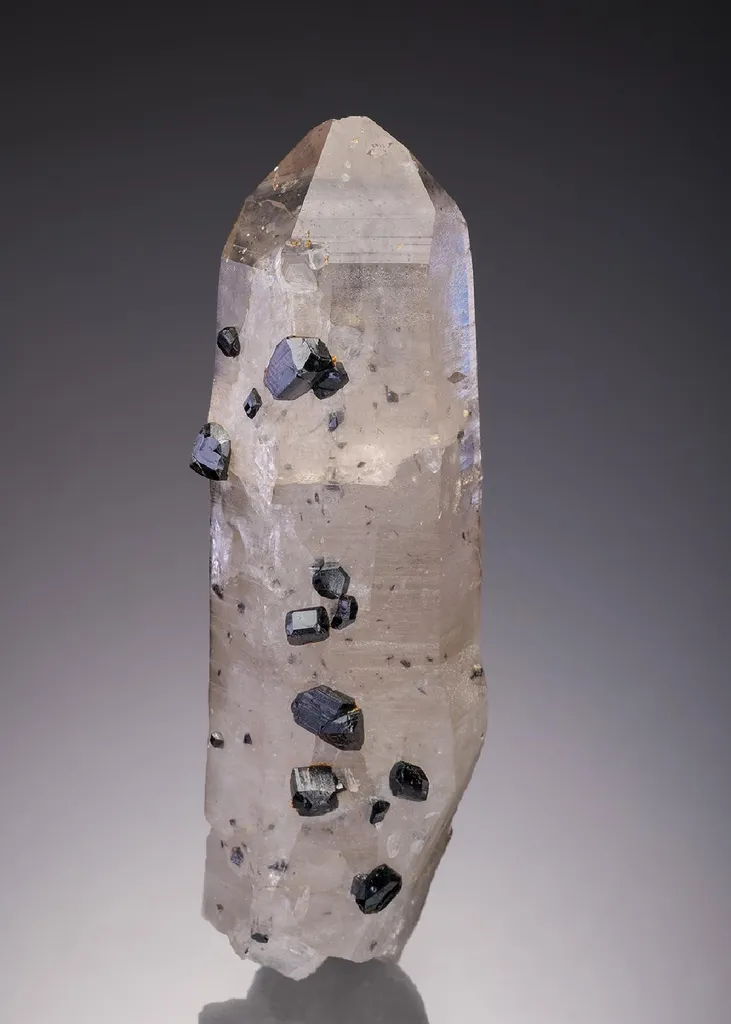 Cassiterite on Quartz image