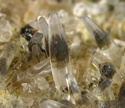 Cassiterite, Quartz - image 3