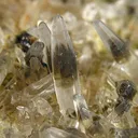 Cassiterite, Quartz - image 3