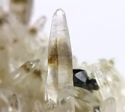 Cassiterite, Quartz - image 3