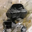 Cassiterite, Quartz - image 2