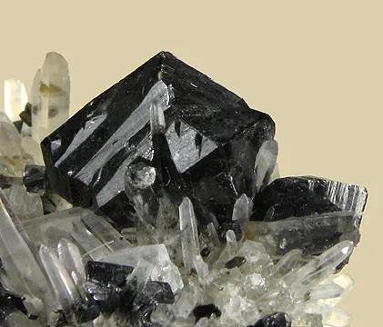 Cassiterite, Quartz - image 2