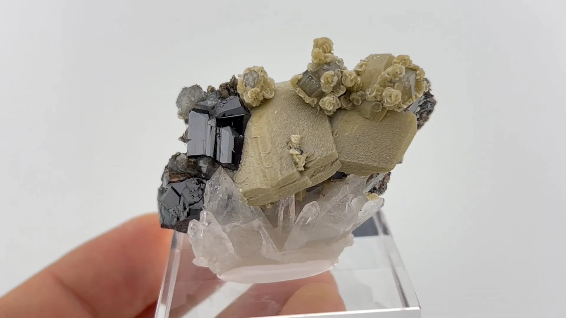 Cassiterite, Siderite, Quartz, Fluorapatite - image 5