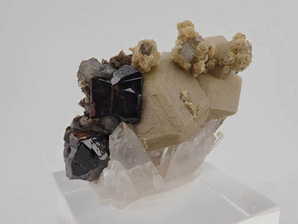 Cassiterite, Siderite, Quartz, Fluorapatite image