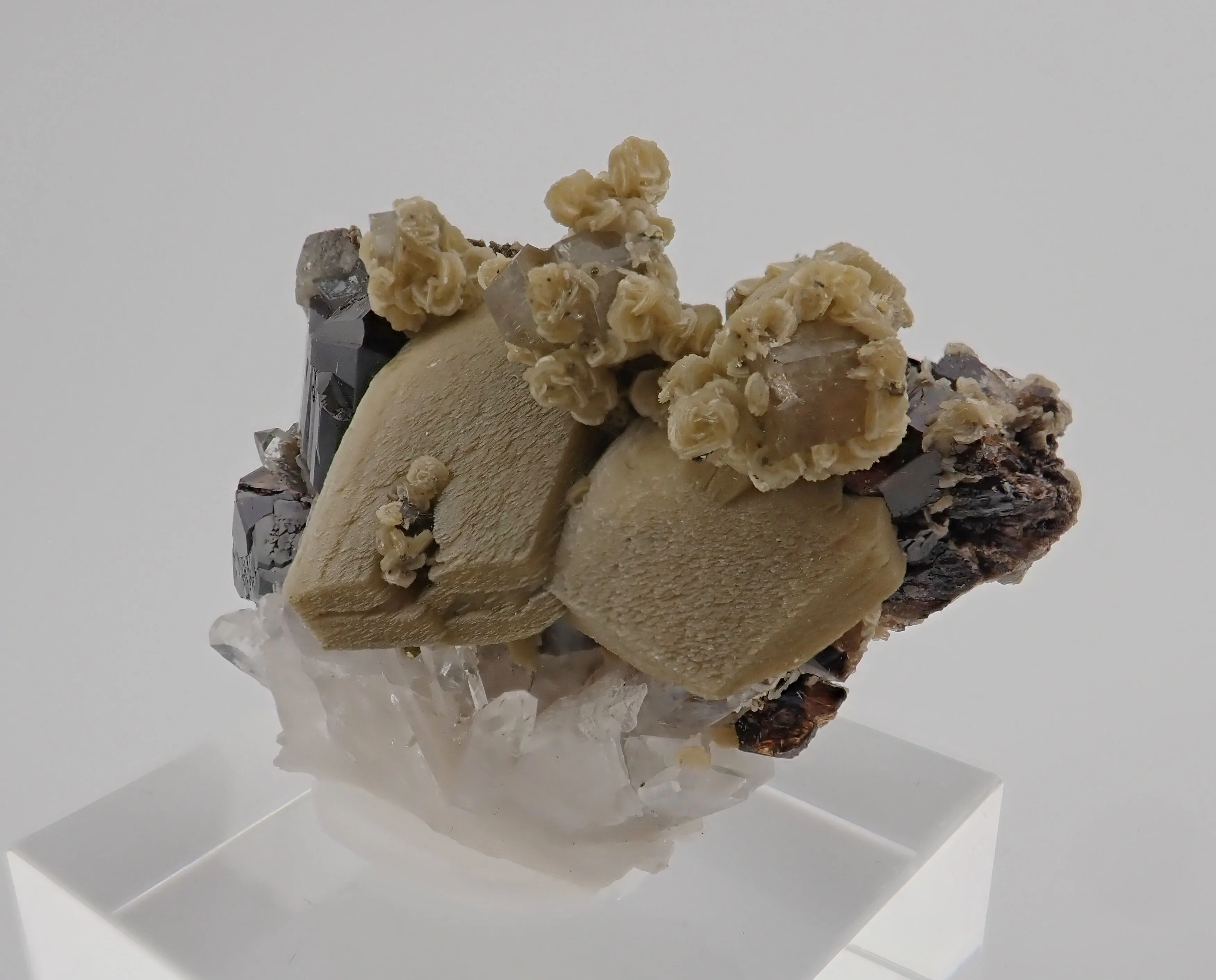 Cassiterite, Siderite, Quartz, Fluorapatite - image 4