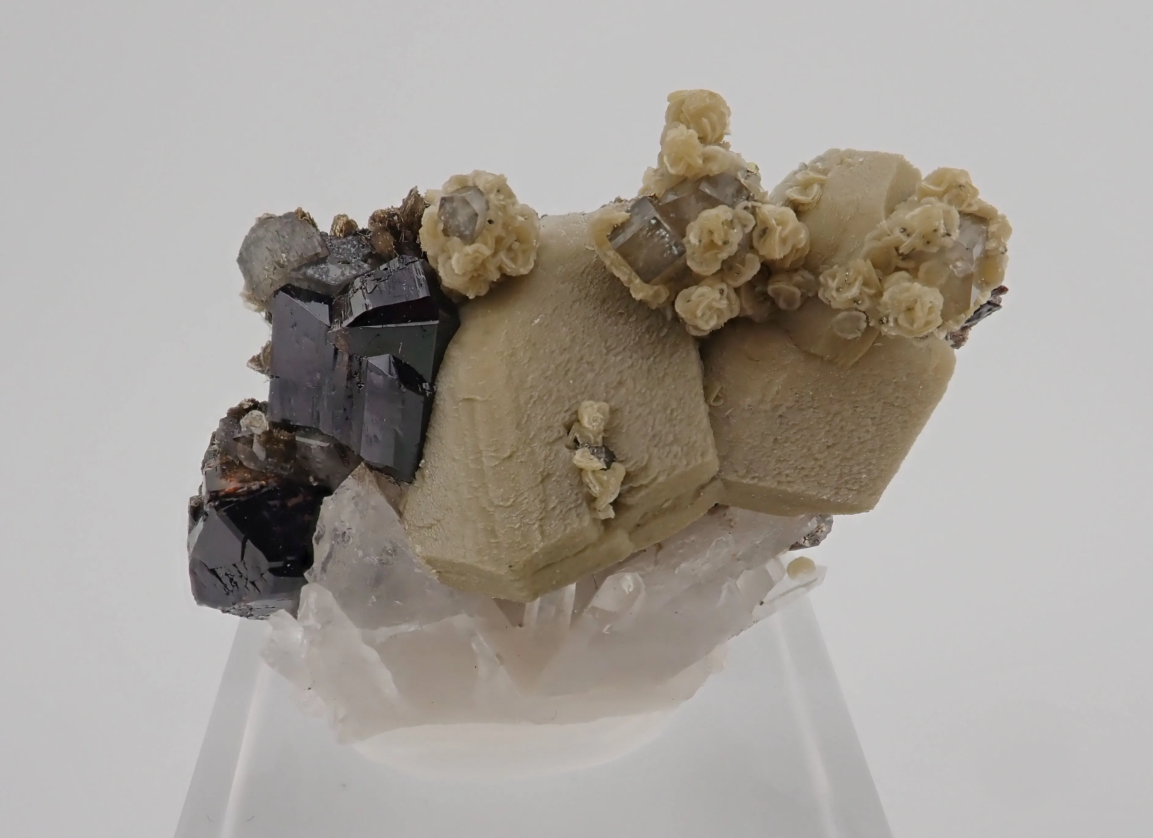 Cassiterite, Siderite, Quartz, Fluorapatite - image 2