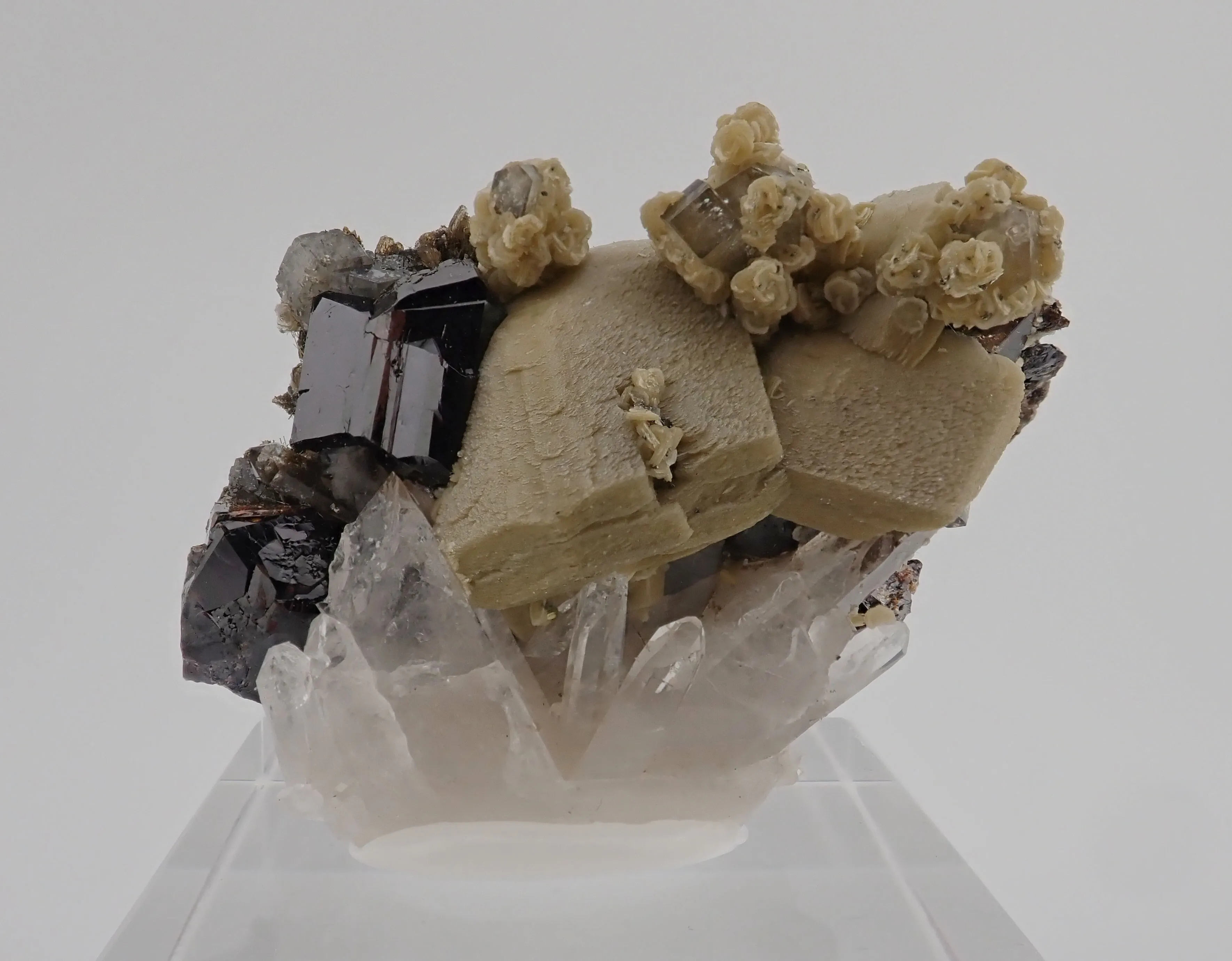 Cassiterite, Siderite, Quartz, Fluorapatite - image 3