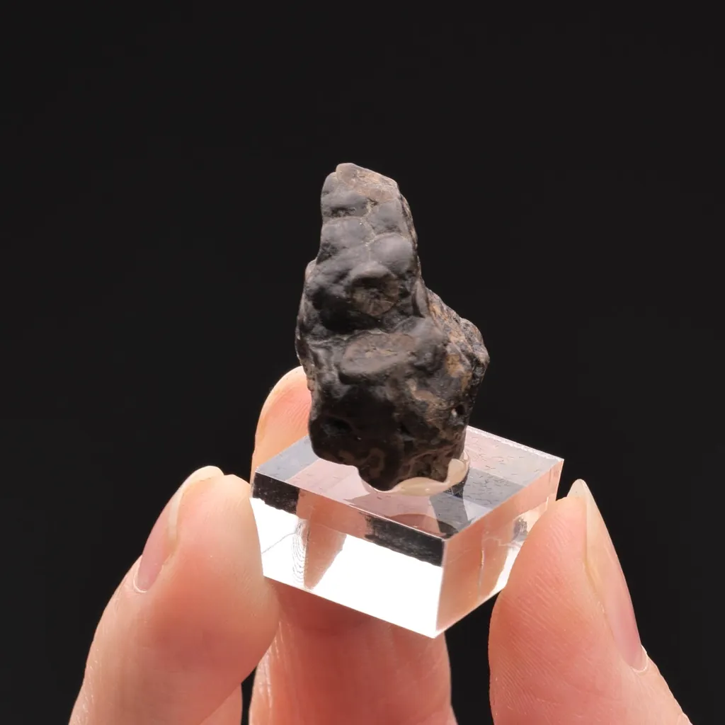 Cassiterite var. Wood Tin image