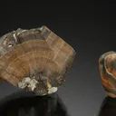 Cassiterite var. WOOD Tin 2 pieces - image 1