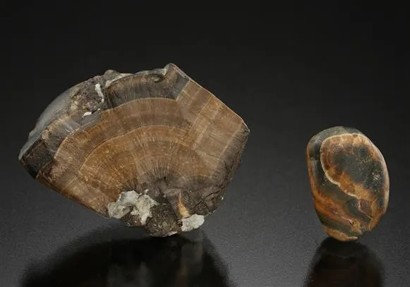 Cassiterite var. WOOD Tin 2 pieces - image 1