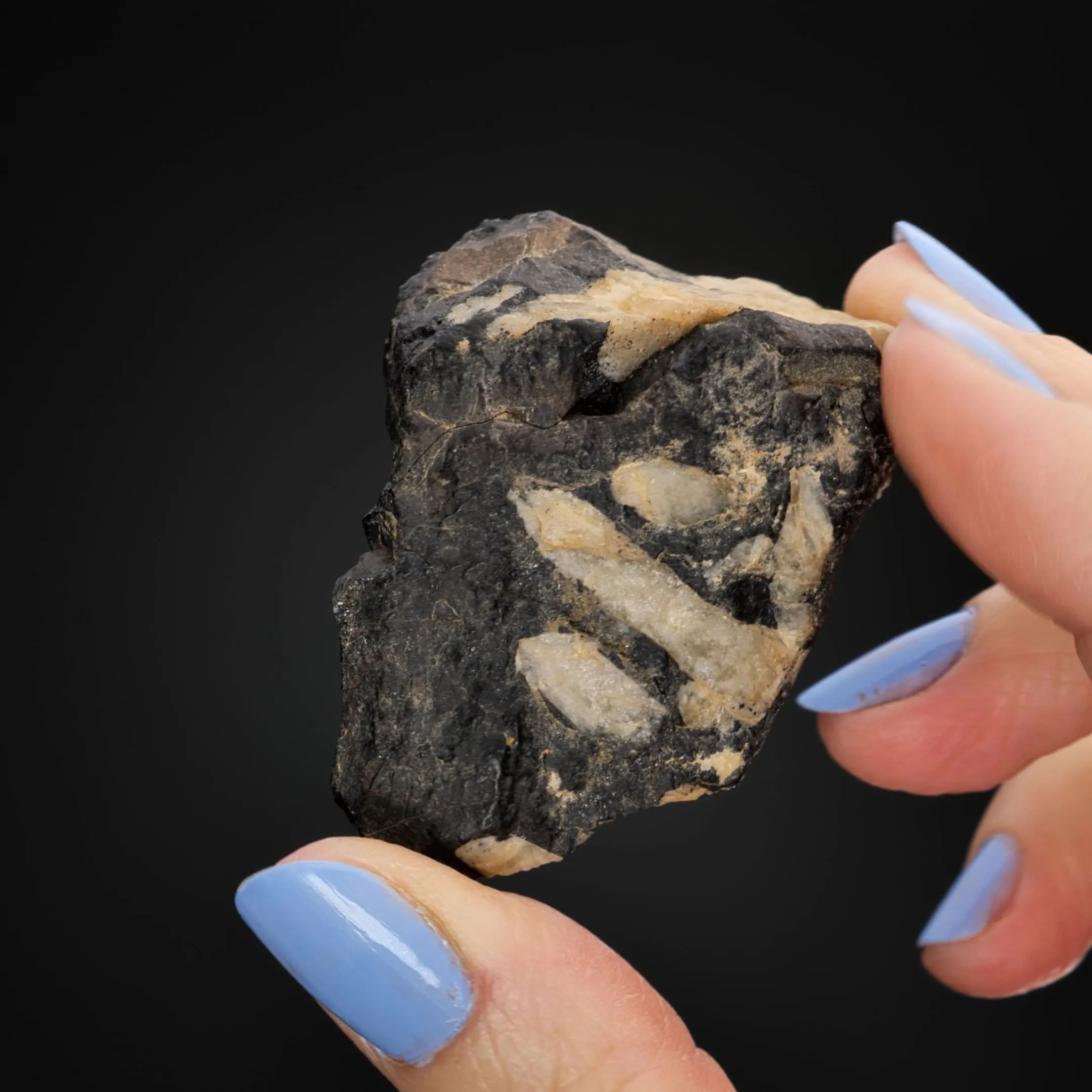 Cassiterite var, Wood Tin - image 2