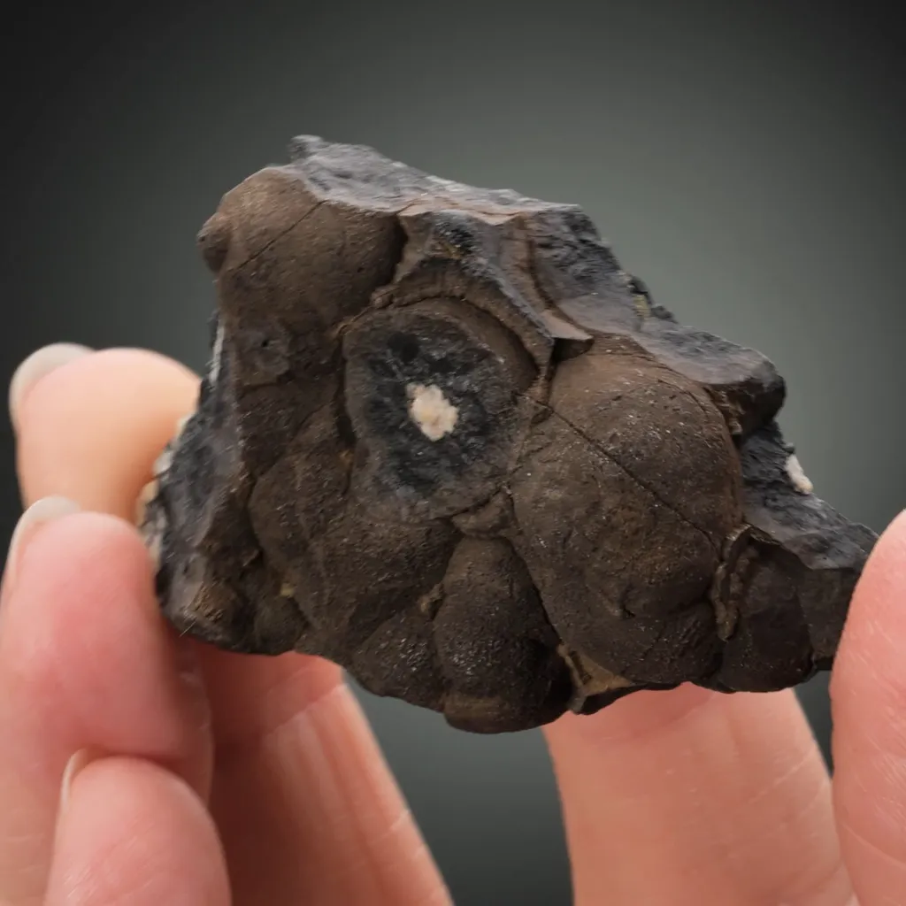 Cassiterite Var. WOOD Tin - image 2