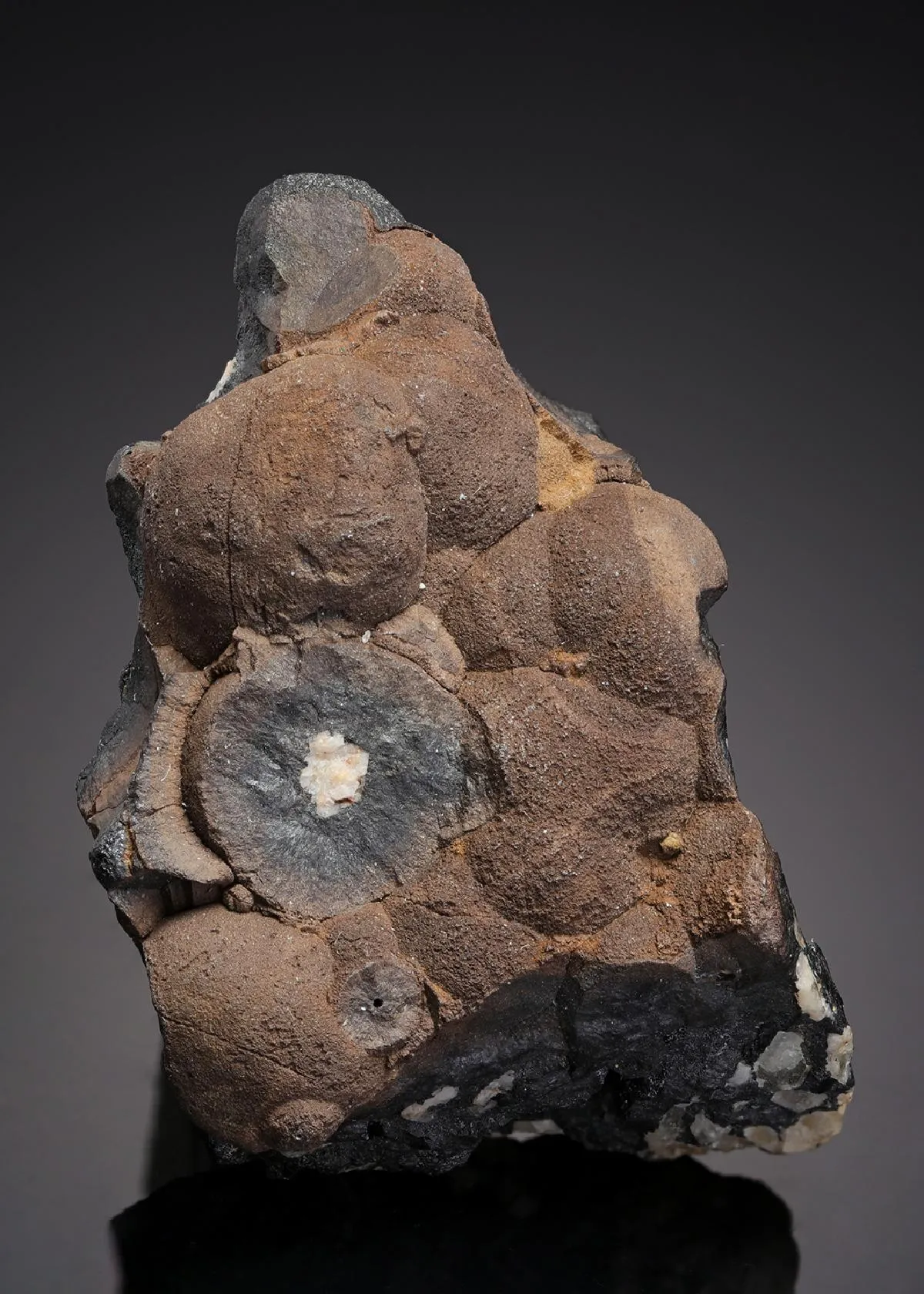 Cassiterite Var. WOOD Tin - image 1