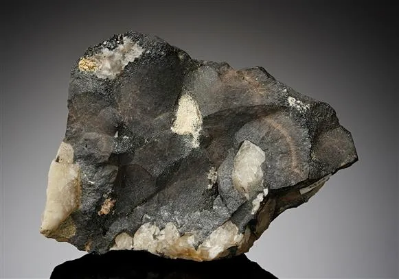 Cassiterite var, Wood Tin - image 1