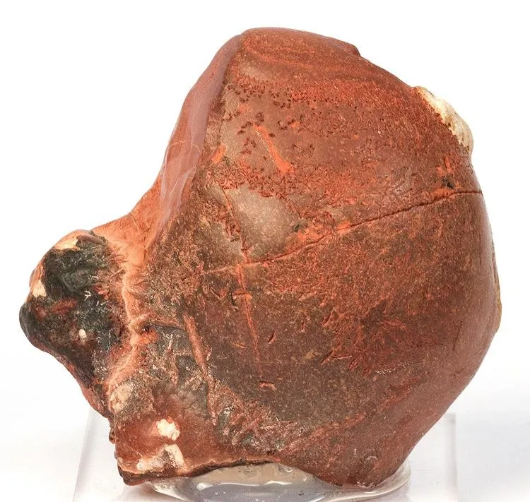 Cassiterite (Var: Wood Tin) image