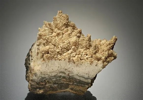Cassiterite Var. "WOOD Tin" with Quartz and Dolomite - image 1