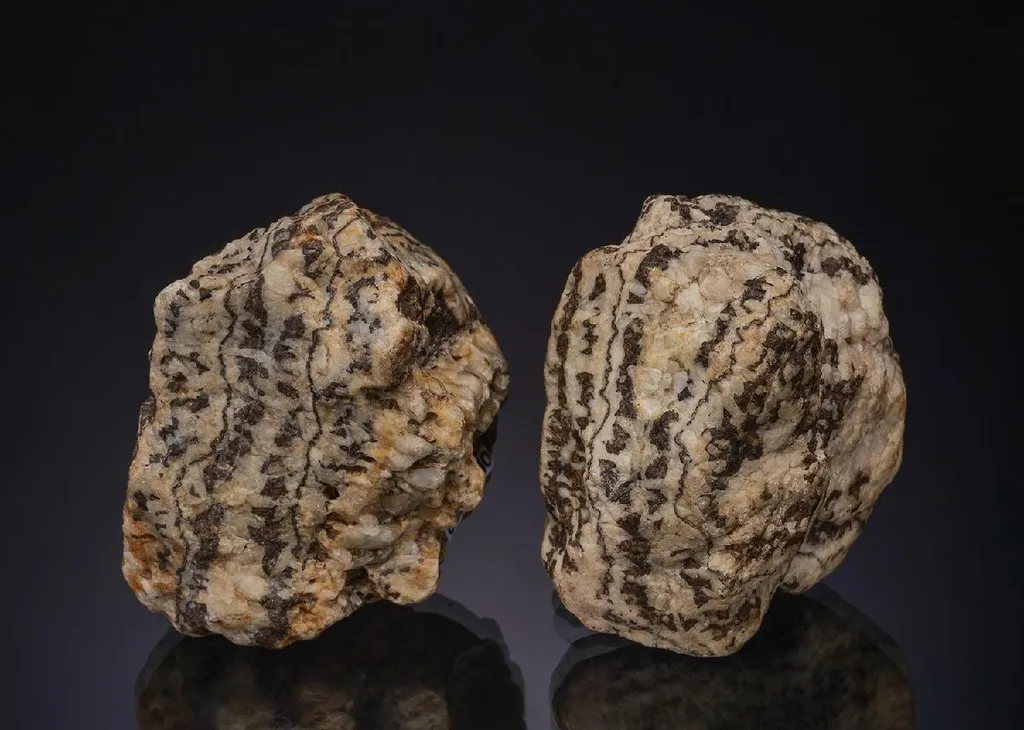 Cassiterite (Vein Section) in Quartz (2 Pieces) image